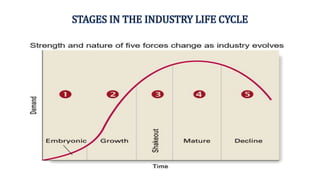STAGES IN THE INDUSTRY LIFE CYCLE
 