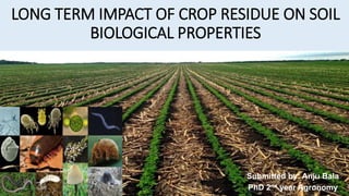 LONG TERM IMPACT OF CROP RESIDUE ON SOIL
BIOLOGICAL PROPERTIES
Submitted by: Anju Bala
PhD 2nd year Agronomy
 