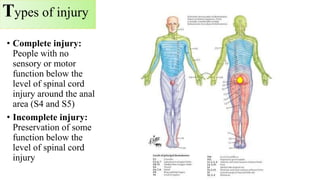 Long term issues in spinal cord injury | PPSX