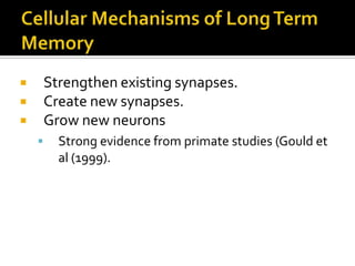 Strengthen existing synapses.
Create new synapses.
Grow new neurons






Strong evidence from primate studies (Gould et
al (1999).

 