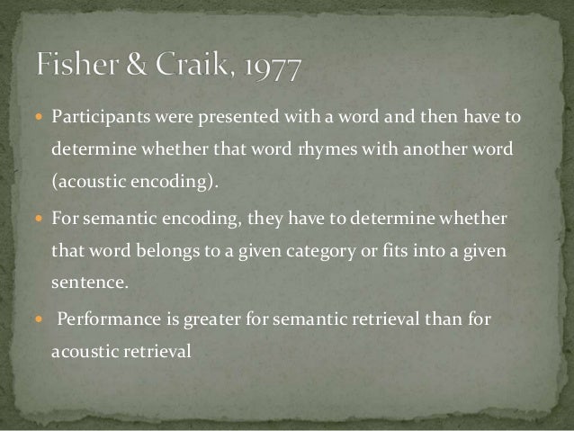 another word for participants