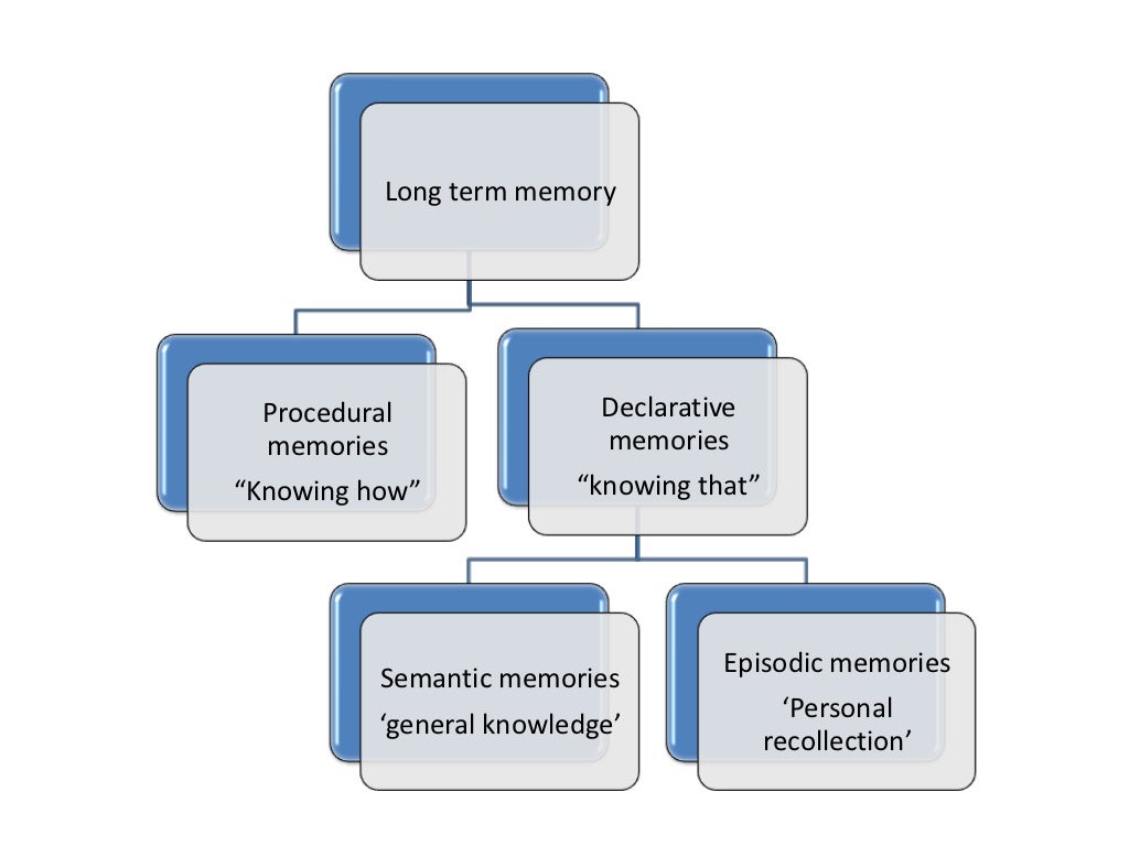Long term memory testing