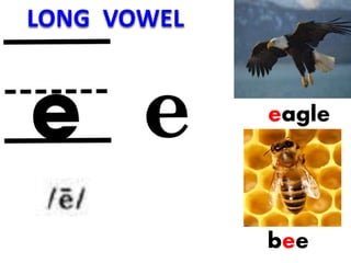 eagle
bee
LONG VOWEL