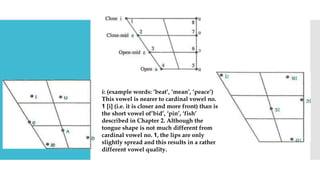 i: (example words: ‘beat’, ‘mean’, ‘peace’)
This vowel is nearer to cardinal vowel no.
1 [i] (i.e. it is closer and more front) than is
the short vowel of‘bid’, ‘pin’, ‘fish’
described in Chapter 2. Although the
tongue shape is not much different from
cardinal vowel no. 1, the lips are only
slightly spread and this results in a rather
different vowel quality.
 