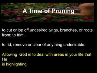 A Time of Pruning

to cut or lop off undesired twigs, branches,
or roots from; to trim.

to rid, remove or clear of anything
undesirable.

Allowing God in to deal with areas in your
life that He is highlighting
 