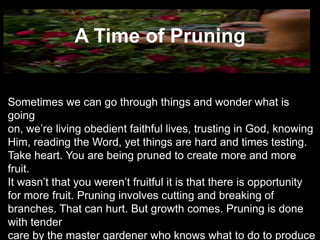 A Time of Pruning
Sometimes we can go through things and wonder what is
going on, we’re living obedient faithful lives, trusting in
God, knowing Him, reading the Word, yet things are hard
and times testing.
Take heart. You are being pruned to create more and
more fruit.
It wasn’t that you weren’t fruitful it is that there is
opportunity
for more fruit. Pruning involves cutting and breaking of
branches. That can hurt. But growth comes. Pruning is
done with tender care by the master gardener who knows
what to do to produce the best crop, the best growth.
Allow him to shape you.
 
