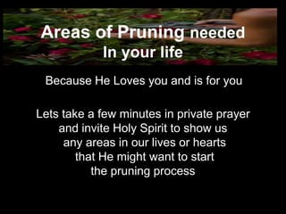 Areas of Pruning needed
            In your life
 Because He Loves you and is for you

Lets take a few minutes in private prayer
    and invite Holy Spirit to show us
     any areas in our lives or hearts
        that He might want to start
           the pruning process
 