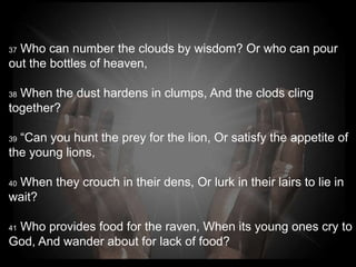 37Who can number the clouds by wisdom? Or who can
pour out the bottles of heaven,

38When the dust hardens in clumps, And the clods cling
together?

39“Can you hunt the prey for the lion, Or satisfy the
appetite of the young lions,

40 When they crouch in their dens, Or lurk in their lairs to
lie in wait?

41Who provides food for the raven, When its young
ones cry to God, And wander about for lack of food?
 