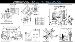 ANTROPOMETRÍA ESTAR / RECEPCIÓN
 