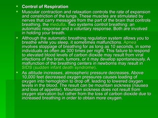 Control of Respiration  Muscular contraction and relaxation controls the rate of expansion and constriction of the lungs. These muscles are stimulated by nerves that carry messages from the part of the brain that controls breathing, the  medulla . Two systems control breathing: an automatic response and a voluntary response. Both are involved in holding your breath.  Although the automatic breathing regulation system allows you to breathe while you sleep, it sometimes malfunctions.  Apnea  involves stoppage of breathing for as long as 10 seconds, in some individuals as often as 300 times per night. This failure to respond to elevated blood levels of carbon dioxide may result from viral infections of the brain, tumors, or it may develop spontaneously. A malfunction of the breathing centers in newborns may result in  SIDS (sudden infant death syndrome) .  As altitude increases, atmospheric pressure decreases. Above 10,000 feet decreased oxygen pressures causes loading of oxygen into hemoglobin to drop off, leading to lowered oxygen levels in the blood. The result can be mountain sickness (nausea and loss of appetite). Mountain sickness does not result from oxygen starvation but rather from the loss of carbon dioxide due to increased breathing in order to obtain more oxygen. 
