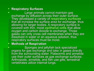 Respiratory Surfaces  Large animals cannot maintain gas exchange by diffusion across their outer surface. They developed a variety of  respiratory surfaces   that all increase the surface area for exchange, thus allowing for larger bodies. A respiratory surface is covered with thin, moist  epithelial cells   that allow oxygen and carbon dioxide to exchange. Those gases can only cross cell membranes when they are dissolved in water or an aqueous solution, thus respiratory surfaces must be moist.  Methods of Respiration  Sponges and jellyfish lack specialized organs for gas exchange and take in gases directly from the surrounding water. Flatworms and annelids use their outer surfaces as gas exchange surfaces. Arthropods, annelids, and fish use gills; terrestrial vertebrates utilize internal lungs. 