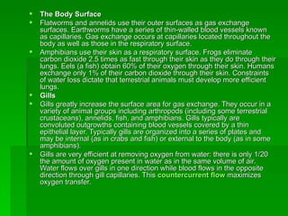 The Body Surface Flatworms and annelids use their outer surfaces as gas exchange surfaces. Earthworms have a series of thin-walled blood vessels known as capillaries. Gas exchange occurs at capillaries located throughout the body as well as those in the respiratory surface.  Amphibians use their skin as a respiratory surface. Frogs eliminate carbon dioxide 2.5 times as fast through their skin as they do through their lungs. Eels (a fish) obtain 60% of their oxygen through their skin. Humans exchange only 1% of their carbon dioxide through their skin. Constraints of water loss dictate that terrestrial animals must develop more efficient lungs. Gills Gills greatly increase the surface area for gas exchange. They occur in a variety of animal groups including arthropods (including some terrestrial crustaceans), annelids, fish, and amphibians. Gills typically are convoluted outgrowths containing blood vessels covered by a thin epithelial layer. Typically gills are organized into a series of plates and may be internal (as in crabs and fish) or external to the body (as in some amphibians). Gills are very efficient at removing oxygen from water: there is only 1/20 the amount of oxygen present in water as in the same volume of air. Water flows over gills in one direction while blood flows in the opposite direction through gill capillaries. This  countercurrent flow   maximizes oxygen transfer. 