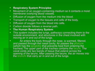 Respiratory System Principles  Movement of an oxygen-containing medium so it contacts a moist membrane overlying blood vessels.  Diffusion of oxygen from the medium into the blood.  Transport of oxygen to the tissues and cells of the body.  Diffusion of oxygen from the blood into cells.  Carbon dioxide follows a reverse path.  The Human Respiratory System  This system includes the lungs, pathways connecting them to the outside environment, and structures in the chest involved with moving air in and out of the lungs.  Air enters the body through the nose, is warmed, filtered, and passed through the nasal cavity. Air passes the  pharynx  (which has the  epiglottis  that prevents food from entering the trachea).The upper part of the trachea contains the  larynx . The vocal cords are two bands of tissue that extend across the opening of the larynx. After passing the larynx, the air moves into the  bronchi  that carry air in and out of the lungs.  