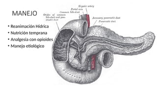 MANEJO
• Reanimación Hídrica
• Nutrición temprana
• Analgesia con opioides
• Manejo etiológico
 
