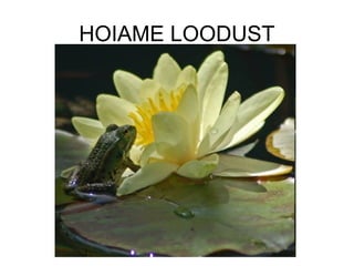 HOIAME LOODUST
 