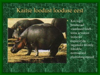 Kaitse loodust looduse eest
• Kui liigil
puuduvad
vaenlased tuleb
tema arvukust
inimesel
reguleerida,
tagamaks teistele
liikidele
normaalsed
elamistingimused
.
 