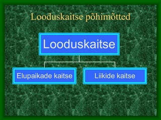 Looduskaitse põhimõtted
Elupaikade kaitse Liikide kaitse
Looduskaitse
 