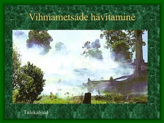 Vihmametsade hävitamine
Tulekahjud
 