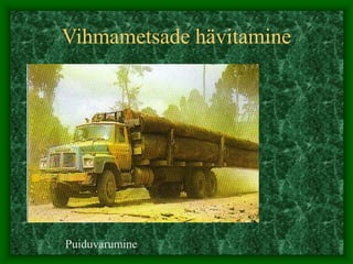 Vihmametsade hävitamine
Puiduvarumine
 