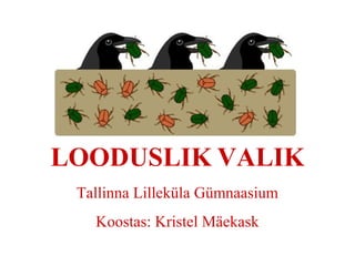 LOODUSLIK VALIK
Tallinna Lilleküla Gümnaasium
Koostas: Kristel Mäekask
 