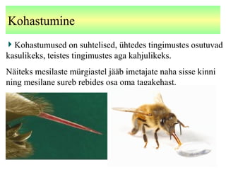 Kohastumine
Kohastumused on suhtelised, ühtedes tingimustes osutuvad
kasulikeks, teistes tingimustes aga kahjulikeks.
Näiteks mesilaste mürgiastel jääb imetajate naha sisse kinni
ning mesilane sureb rebides osa oma tagakehast.
 
