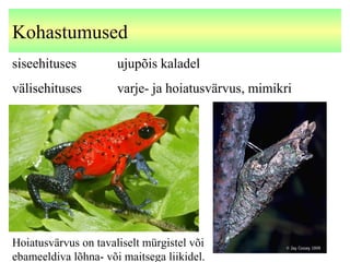 Kohastumused
siseehituses ujupõis kaladel
välisehituses varje- ja hoiatusvärvus, mimikri
Hoiatusvärvus on tavaliselt mürgistel või
ebameeldiva lõhna- või maitsega liikidel.
 