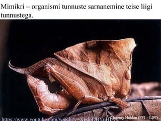 Mimikri – organismi tunnuste sarnanemine teise liigi
tunnustega.
 
