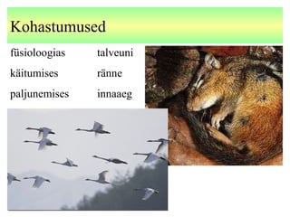 Kohastumused
füsioloogias talveuni
käitumises ränne
paljunemises innaaeg
 