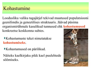 Kohastumine
Loodusliku valiku tagajärjel tekivad muutused populatsiooni
geenifondis ja geneetilises struktuuris. Jäävad püsima
organismirühmale kasulikud tunnused ehk kohastumused
konkreetse keskkonna suhtes.
Kohastumuste teket nimetatakse
kohastumiseks.
Kohastumused on pärilikud.
Näiteks kaelkirjaku pikk kael puulehtede
söömiseks.
 