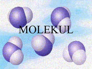 MOLEKUL 