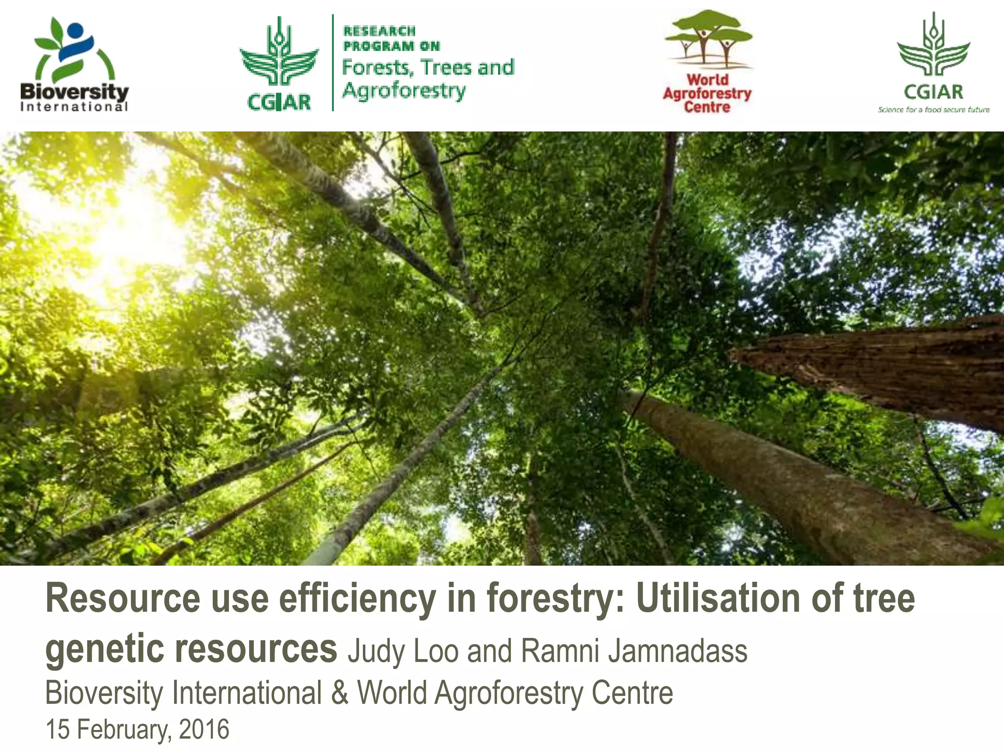 Resource use efficiency in forestry: Utilisation of tree
genetic resources Judy Loo and Ramni Jamnadass
Bioversity International & World Agroforestry Centre
15 February, 2016
Photo:KrishnasisGhosh
 
