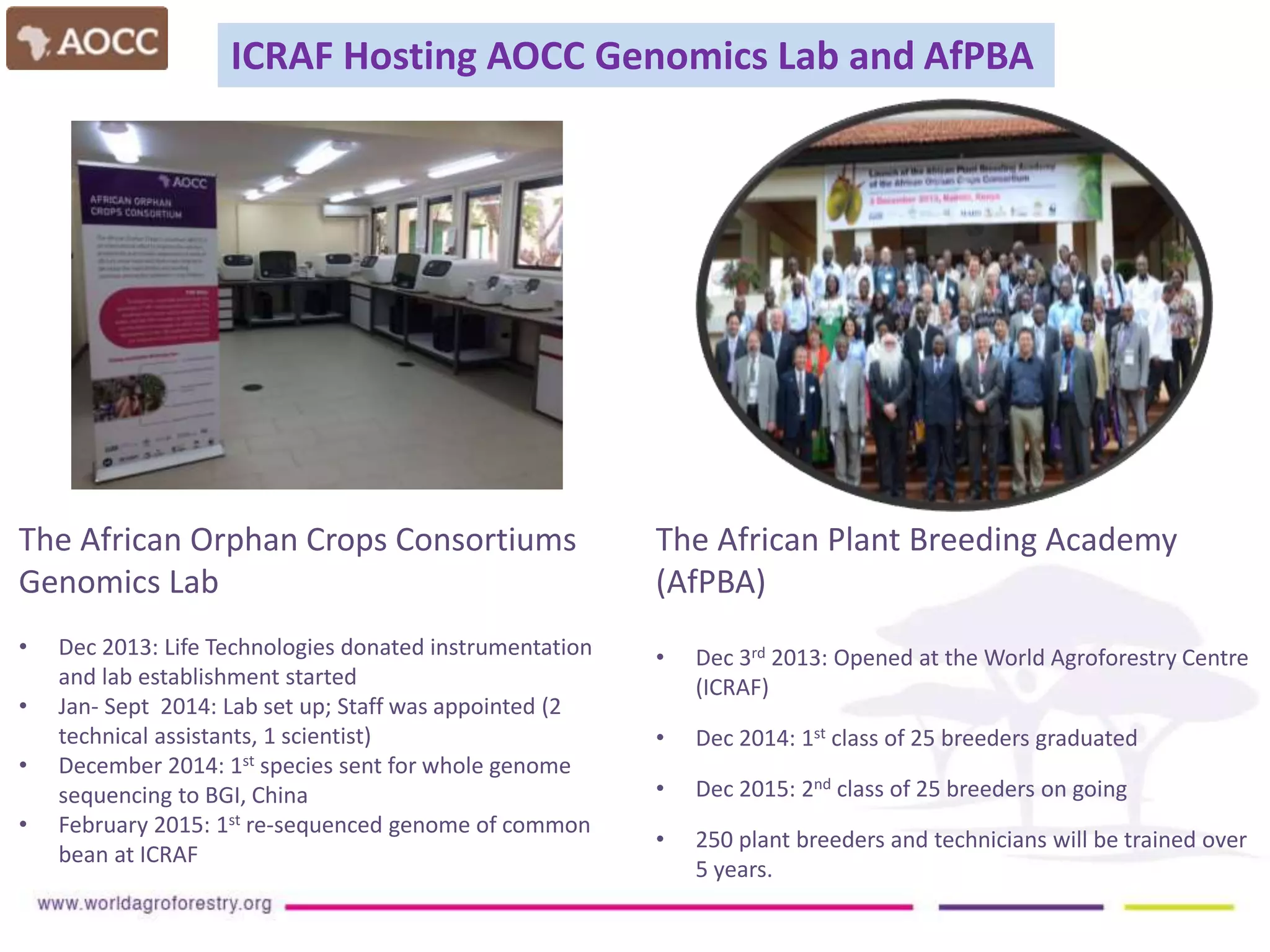 The African Plant Breeding Academy
(AfPBA)
• Dec 3rd 2013: Opened at the World Agroforestry Centre
(ICRAF)
• Dec 2014: 1st class of 25 breeders graduated
• Dec 2015: 2nd class of 25 breeders on going
• 250 plant breeders and technicians will be trained over
5 years.
ICRAF Hosting AOCC Genomics Lab and AfPBA
The African Orphan Crops Consortiums
Genomics Lab
• Dec 2013: Life Technologies donated instrumentation
and lab establishment started
• Jan- Sept 2014: Lab set up; Staff was appointed (2
technical assistants, 1 scientist)
• December 2014: 1st species sent for whole genome
sequencing to BGI, China
• February 2015: 1st re-sequenced genome of common
bean at ICRAF
 