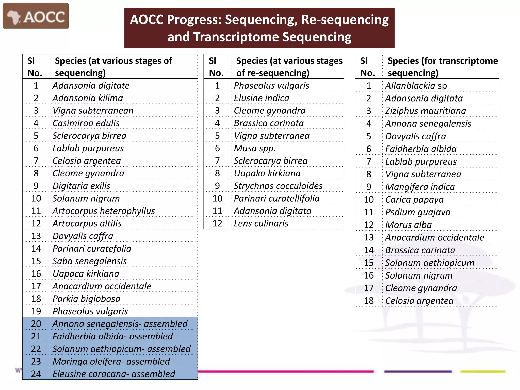Sl
No.
Species (at various stages of
sequencing)
1 Adansonia digitate
2 Adansonia kilima
3 Vigna subterranean
4 Casimiroa edulis
5 Sclerocarya birrea
6 Lablab purpureus
7 Celosia argentea
8 Cleome gynandra
9 Digitaria exilis
10 Solanum nigrum
11 Artocarpus heterophyllus
12 Artocarpus altilis
13 Dovyalis caffra
14 Parinari curatefolia
15 Saba senegalensis
16 Uapaca kirkiana
17 Anacardium occidentale
18 Parkia biglobosa
19 Phaseolus vulgaris
20 Annona senegalensis- assembled
21 Faidherbia albida- assembled
22 Solanum aethiopicum- assembled
23 Moringa oleifera- assembled
24 Eleusine coracana- assembled
AOCC Progress: Sequencing, Re-sequencing
and Transcriptome Sequencing
Sl
No.
Species (at various stages
of re-sequencing)
1 Phaseolus vulgaris
2 Elusine indica
3 Cleome gynandra
4 Brassica carinata
5 Vigna subterranea
6 Musa spp.
7 Sclerocarya birrea
8 Uapaka kirkiana
9 Strychnos cocculoides
10 Parinari curatellifolia
11 Adansonia digitata
12 Lens culinaris
Sl
No.
Species (for transcriptome
sequencing)
1 Allanblackia sp
2 Adansonia digitata
3 Ziziphus mauritiana
4 Annona senegalensis
5 Dovyalis caffra
6 Faidherbia albida
7 Lablab purpureus
8 Vigna subterranea
9 Mangifera indica
10 Carica papaya
11 Psdium guajava
12 Morus alba
13 Anacardium occidentale
14 Brassica carinata
15 Solanum aethiopicum
16 Solanum nigrum
17 Cleome gynandra
18 Celosia argentea
 
