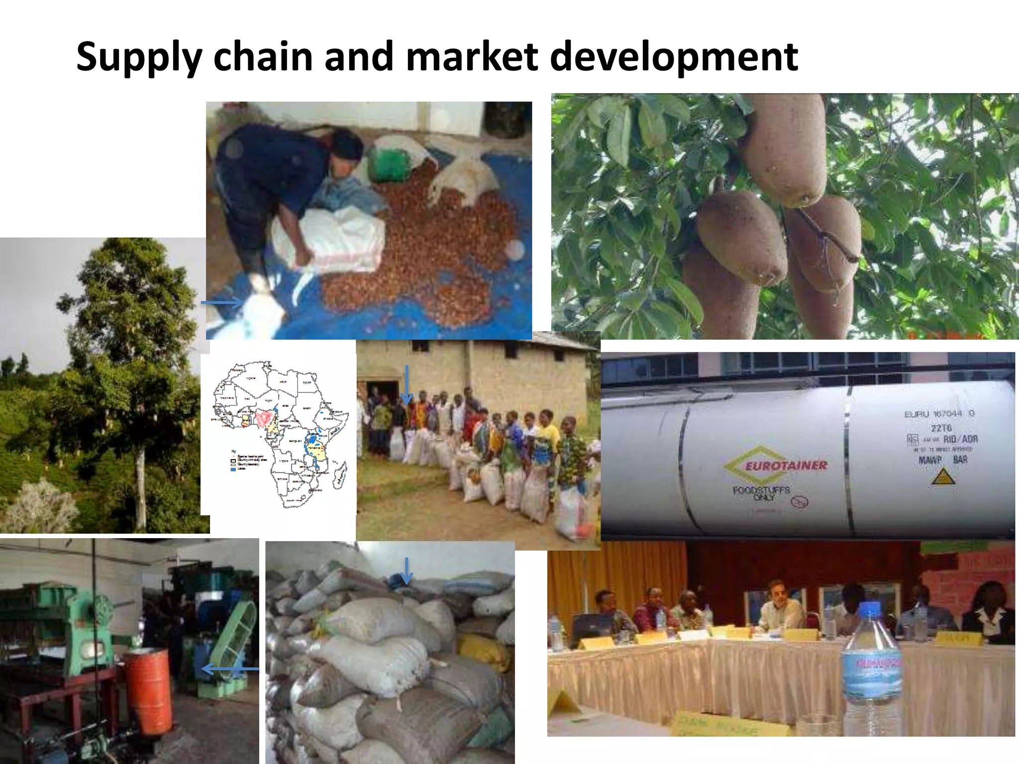 Supply chain and market development
 