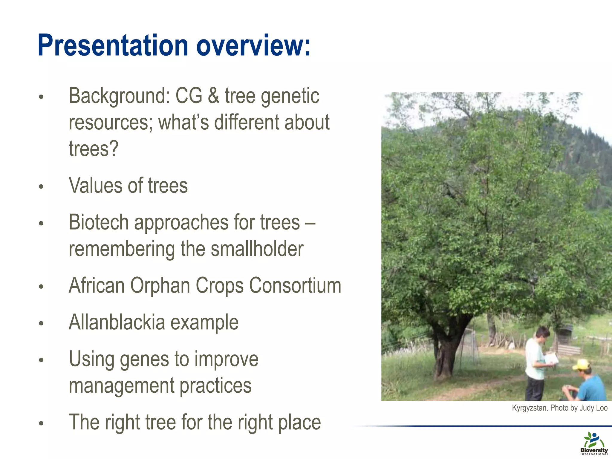Presentation overview:
• Background: CG & tree genetic
resources; what’s different about
trees?
• Values of trees
• Biotech approaches for trees –
remembering the smallholder
• African Orphan Crops Consortium
• Allanblackia example
• Using genes to improve
management practices
• The right tree for the right place
Kyrgyzstan. Photo by Judy Loo
 