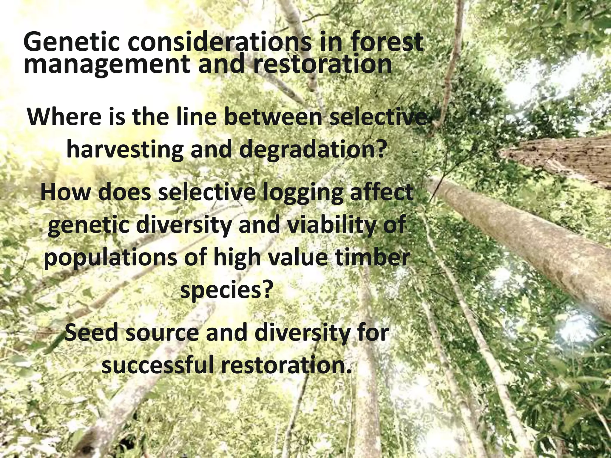 Genetic considerations in forest
management and restoration
Where is the line between selective
harvesting and degradation?
How does selective logging affect
genetic diversity and viability of
populations of high value timber
species?
Seed source and diversity for
successful restoration.
 