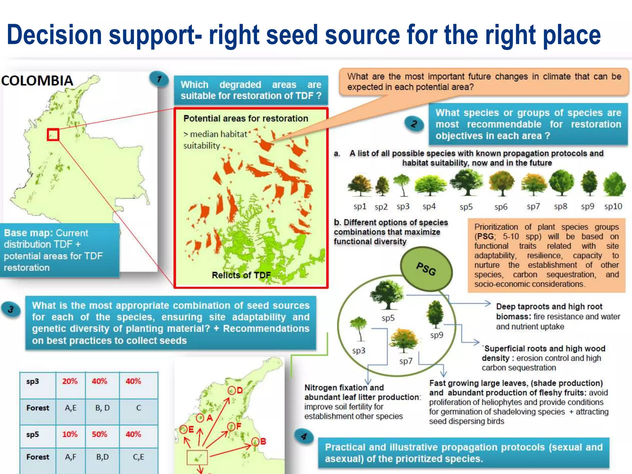 Decision support- right seed source for the right place
 