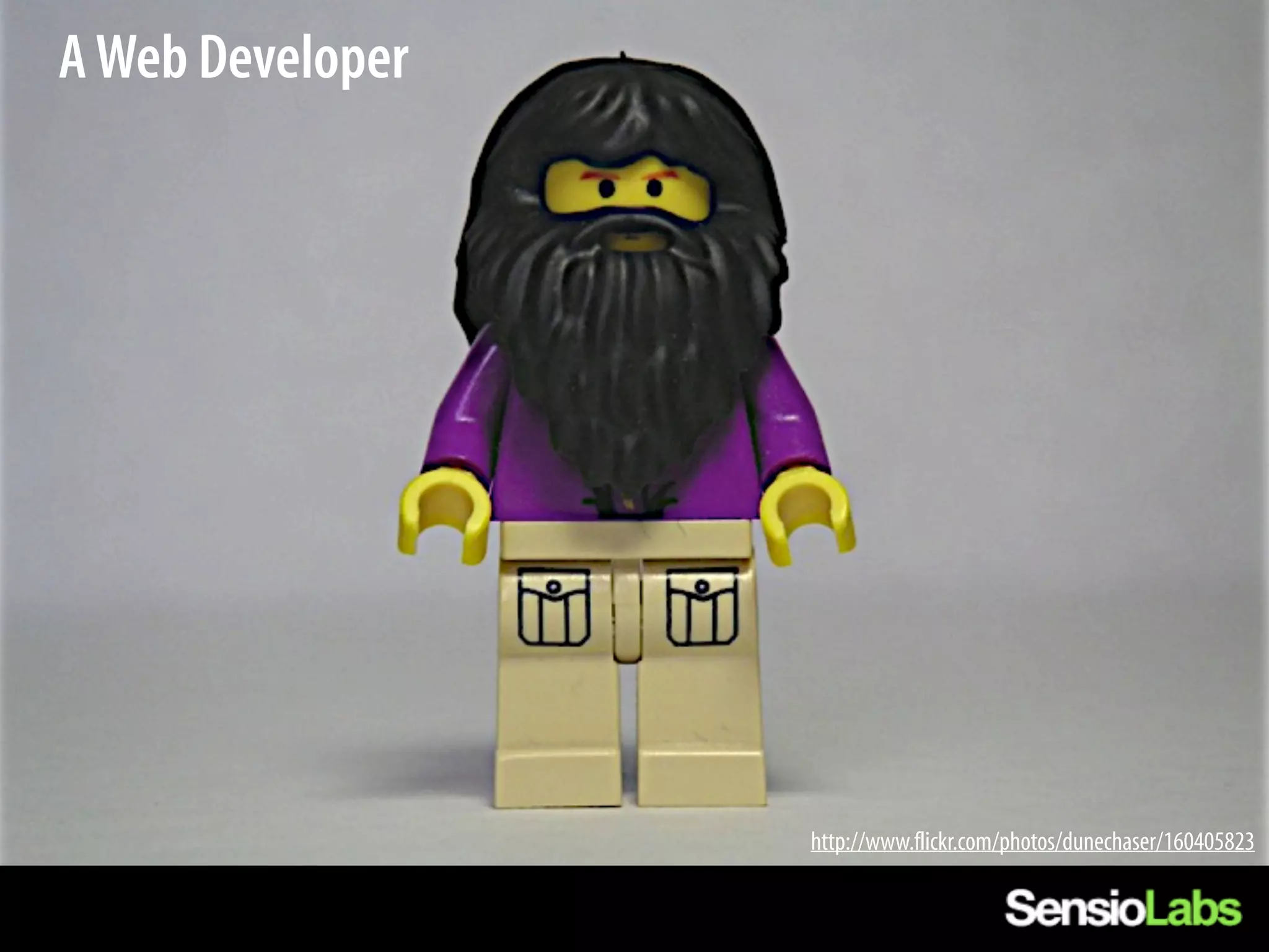 A Web Developer




                  http://www.flickr.com/photos/dunechaser/160405823
 