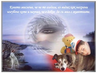 Когато мислеше, че не те гледам, аз видях как нахрани изгубено коте и научих, че е добре  да си мил с животните. 