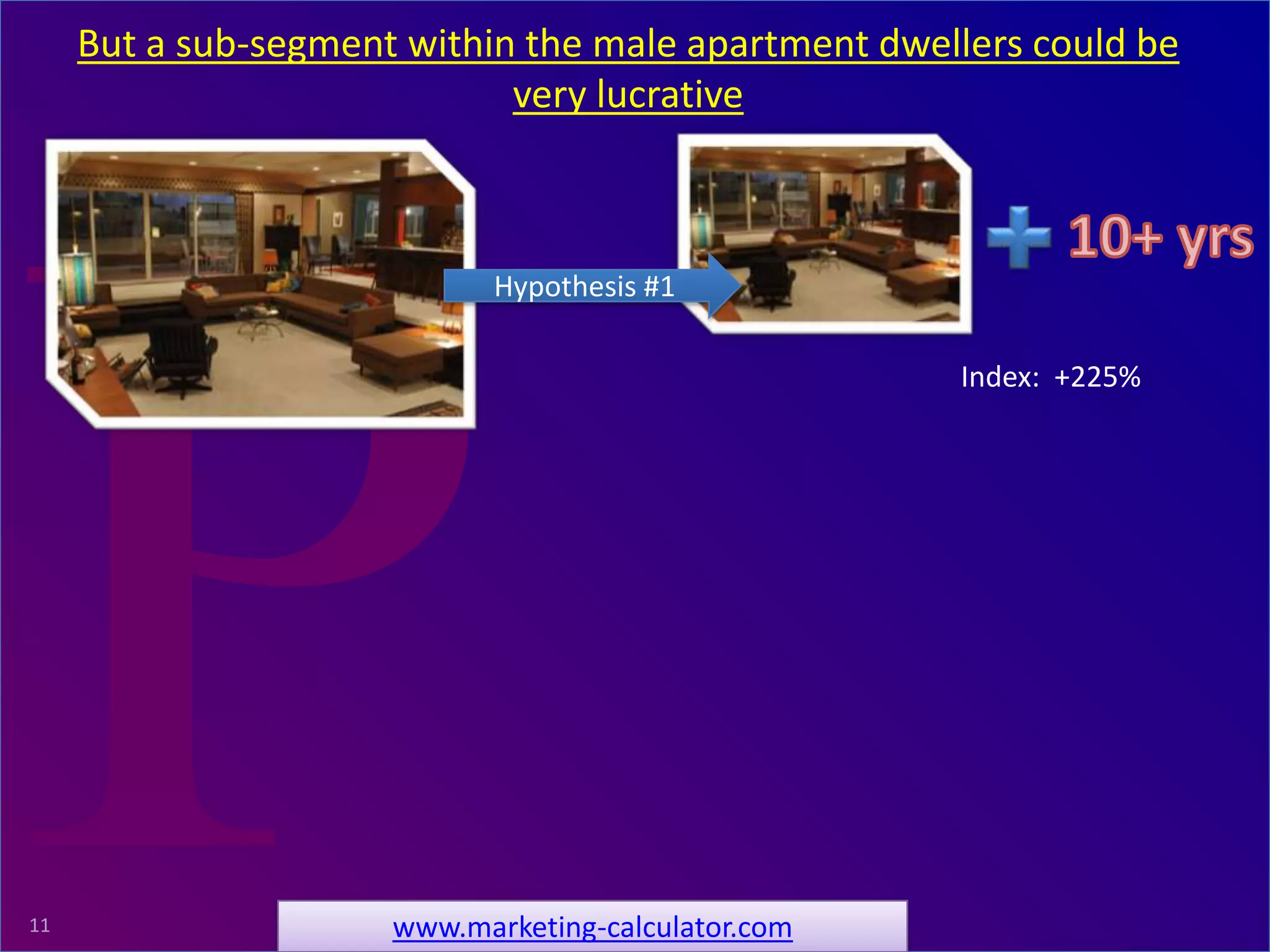 ProRelevant Marketing Solutions11
Index: +225%
Hypothesis #1
But a sub-segment within the male apartment dwellers could be
very lucrative
www.marketing-calculator.com
 