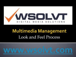 Multimedia Management Look and Feel Process  www.wsolvt.com 