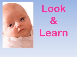 Look
  &
Learn
 