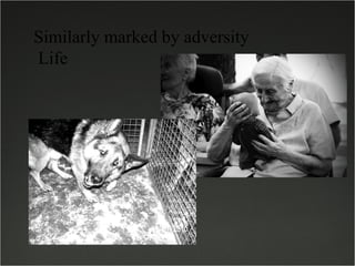 Similarly marked by adversity ?Life 
