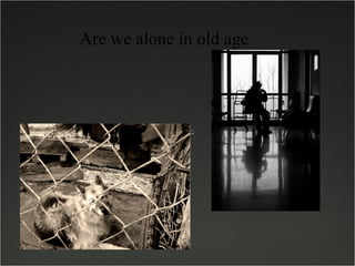 Are we alone in old age 