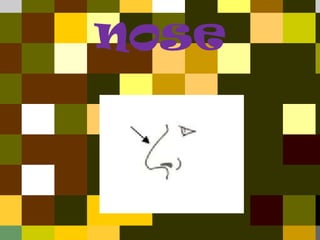 nose