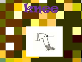 knee