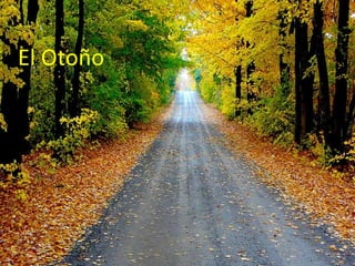 El Otoño
 