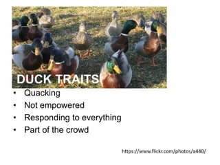• Quacking
• Not empowered
• Responding to everything
• Part of the crowd
https://www.flickr.com/photos/a440/
DUCK TRAITS
 