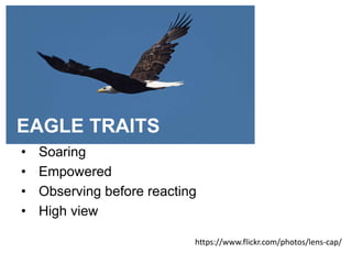 • Soaring
• Empowered
• Observing before reacting
• High view
https://www.flickr.com/photos/lens-cap/
EAGLE TRAITS
 