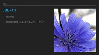 TEXT
JUNE - #14
? μ
? ղ_ (3rd): դ줢` 4F
Image by Pom' on flickr, CC-BY-SA 2.0
 